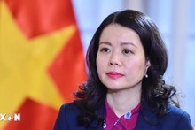 Замминистра иностранных дел Нгуен Минь Ханг. Фото: ВИА