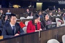 Постоянная миссия Вьетнама при ЮНЕСКО на сессии.