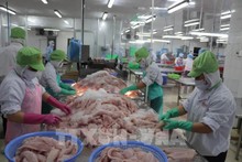 Производственная деятельность на акционерном предприятии Го Данг промышленного парка Mитхо. Фото: ВИА