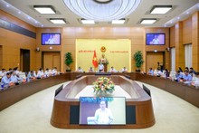Общий вид совещания.