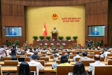 Общий вид заседания в зале в первой половине дня 17 мая. Фото: ВИА