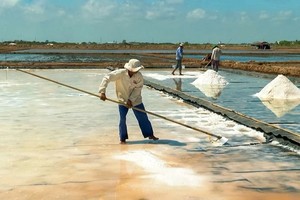 В последние годы соляные фермеры стали применять современную технологию для производства высококачественной соли, расстелив пластиковый брезент на закристаллизованном поле.