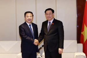 Председатель НС Выонг Динь Хюэ принимает руководителя корпорации Tianneng. Фото: ВИА