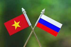 Вьетнам и Россия развивают сотрудничество в сфере образования и подготовки кадров. Фото: Vietnam-briefing.com