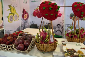 Вьетнамские фрукты представлены на выставке. Фото: ВИА