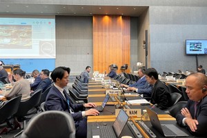 Вьетнамская делегация на заседании. Фото: ВИА