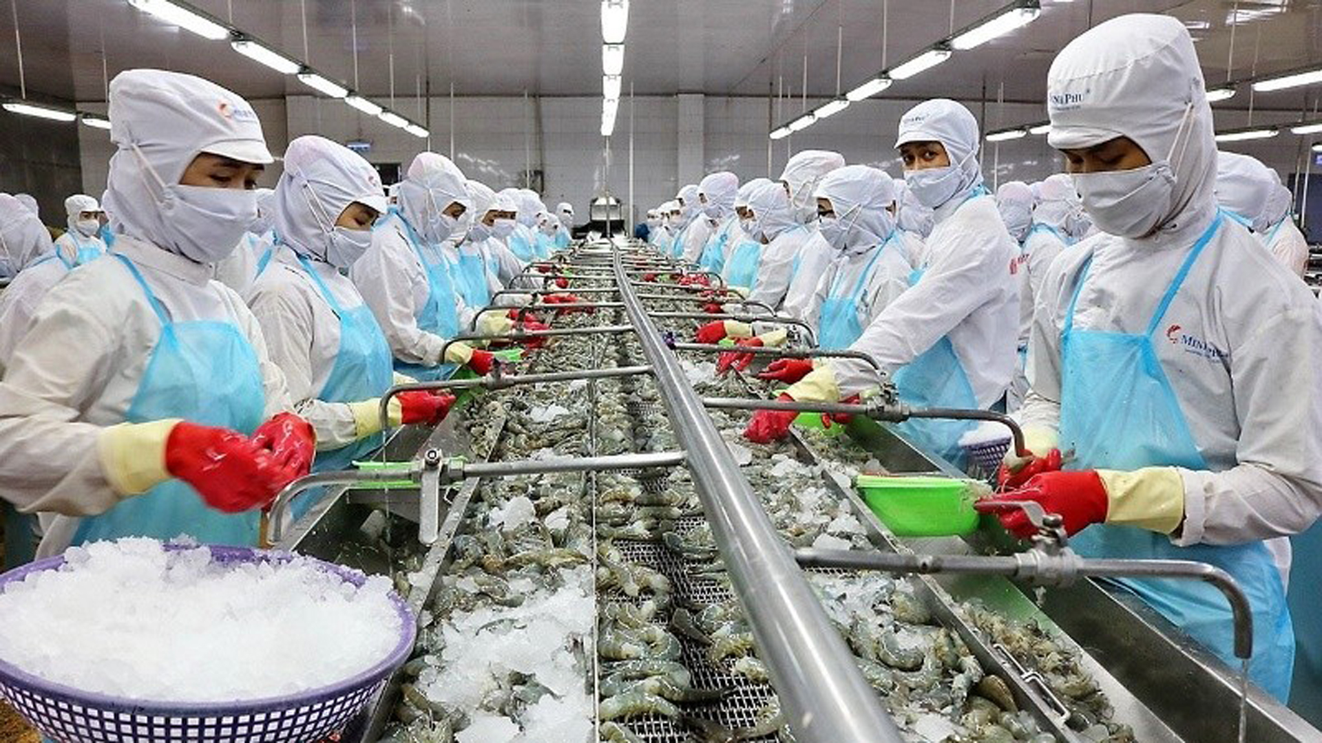 Открытие дверей для проникновения вьетнамских товаров на рынок Ближнего Востока