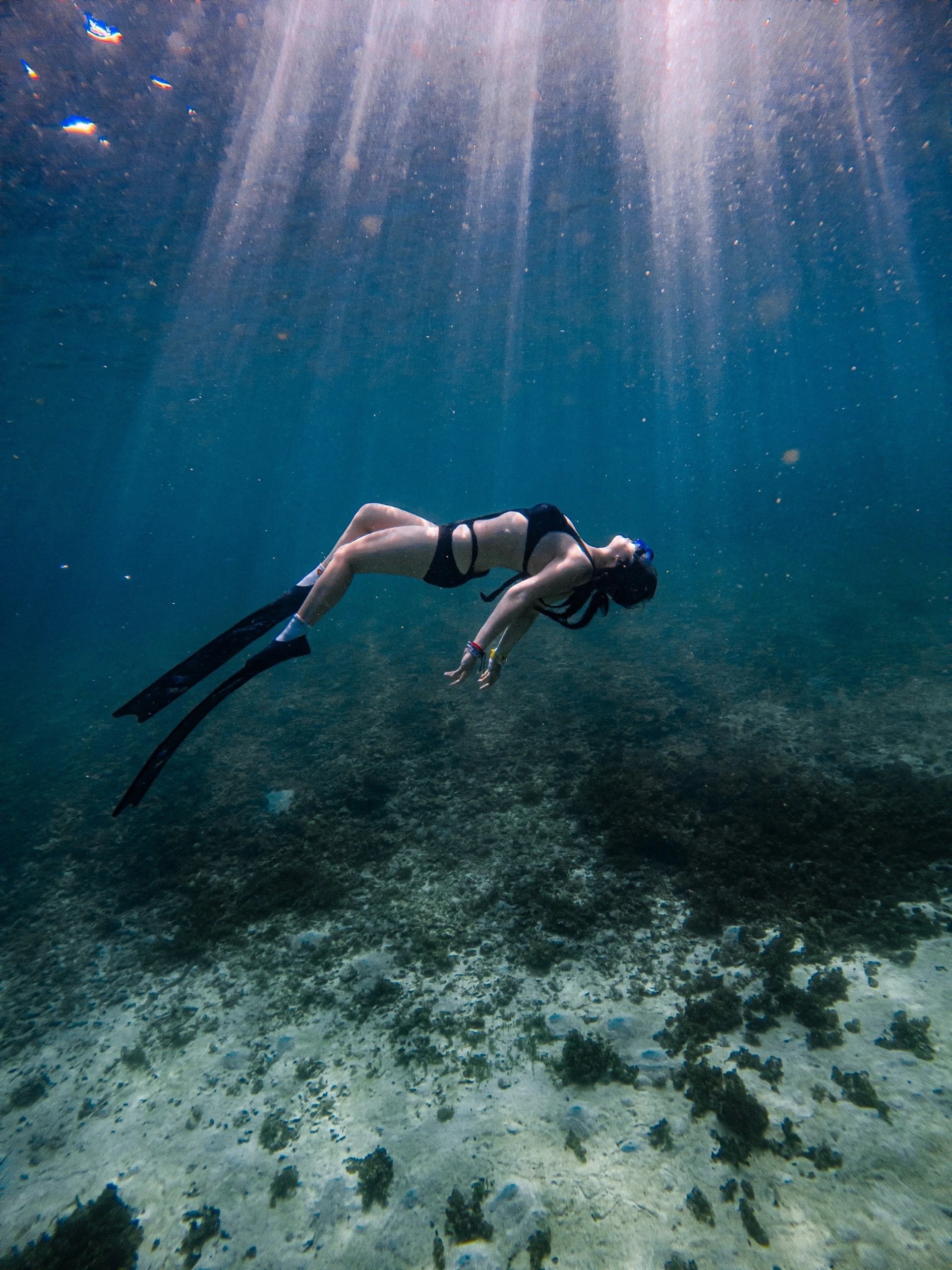 Подводное плавание относится к экстремальным видам спорта, но оно также приносит игрокам много положительных эмоций, таких как физическая закалка, духовное расслабление, удовлетворение страсти...