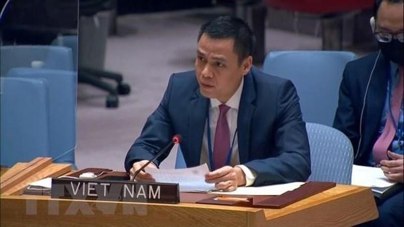 Посол Данг Хоанг Жанг, глава Постоянной миссии Вьетнама при ООН. Фото: VNA
