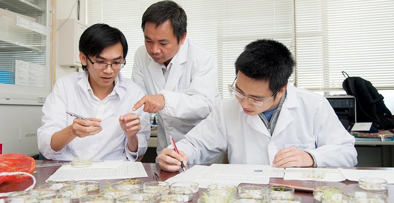 Профессор Чан Данг Суан (в центре) и аспиранты. Фото: idecp.hiroshima-u.ac.jp