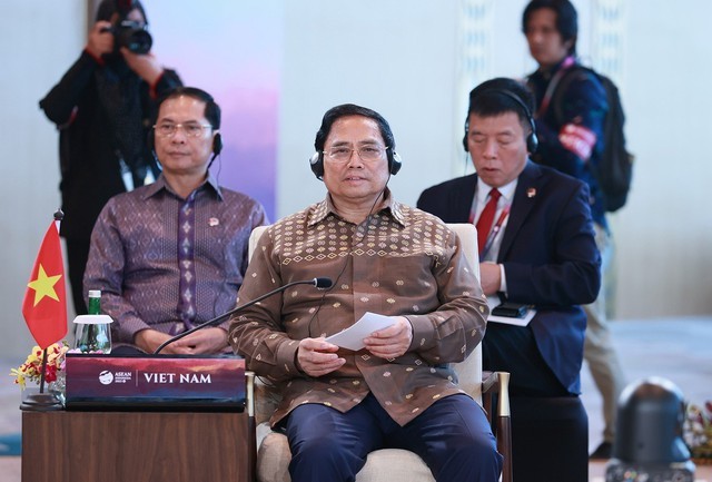 Премьер-министр Фам Минь Тьинь на совещании. Фото: VGP