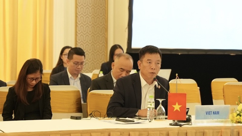 Посол Ву Хо, и.о. главы делегации СДЛ Вьетнама при АСЕАН, выступает на совещании. Фото: МИД Вьетнама