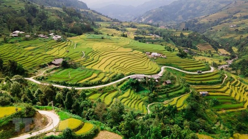 Хоангшуфи известен величественными горными пейзажами и террасными рисовыми полями, извивающимися до горизонта. Фото: VNA