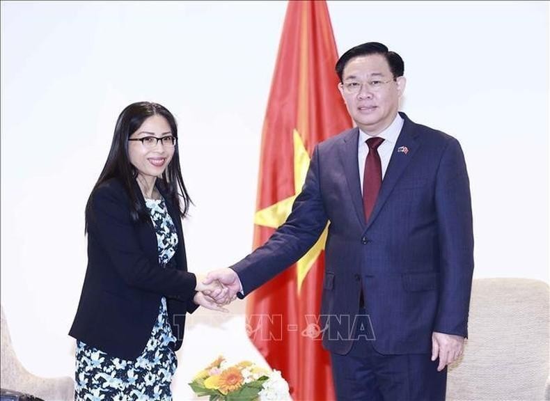 Председатель НС Выонг Динь Хюэ принимает представителя VietTechNZ. Фото: ВИА
