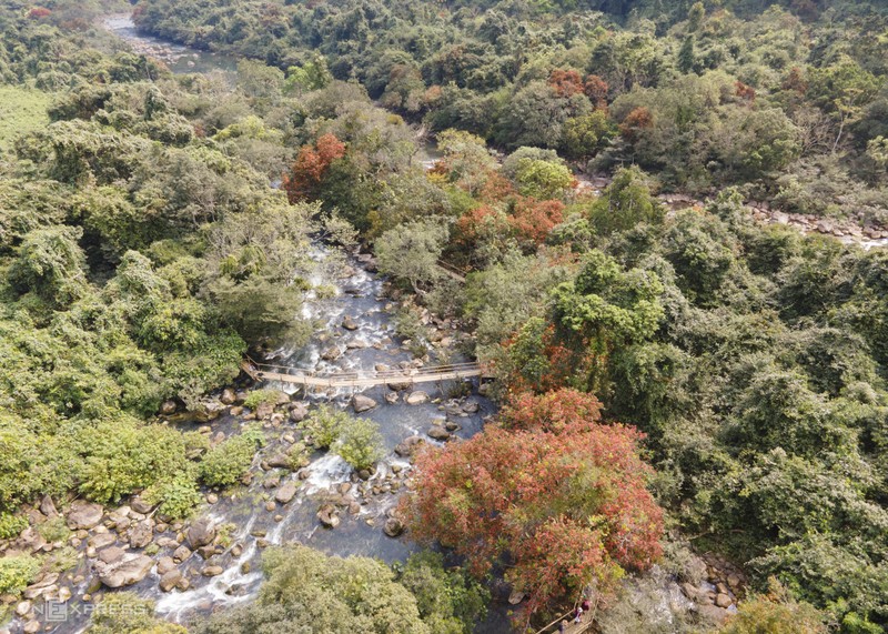 Ручей Моок протекает вдоль западной ветви тропы Хо Ши Мина, проходит через общину Фукчать уезда Бочать. Ежегодно с февраля по апрель вдоль этого ручья распускаются цветы сараки.