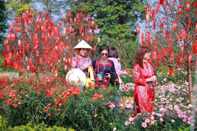 Туристы посещают цветочную улицу в Ханое. Фото: Home Hanoi Xuan
