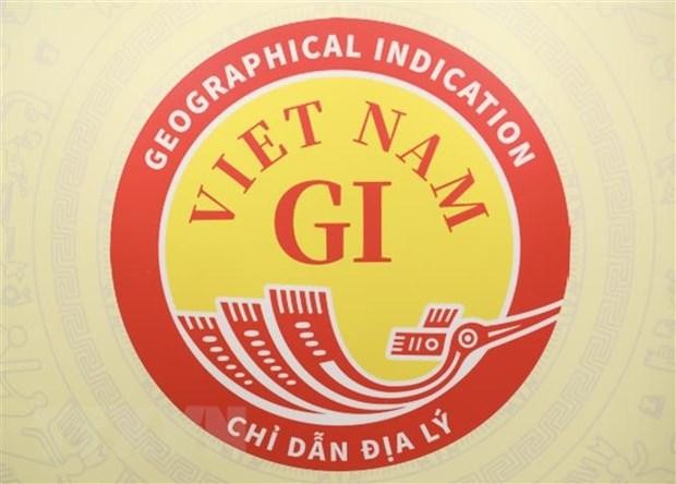 Логотип национального географического указания Вьетнама. Фото: VNA