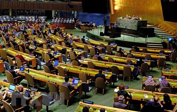 Одно заседение Генеральной Ассамблеи ООН. Фото: AFP/ВИА