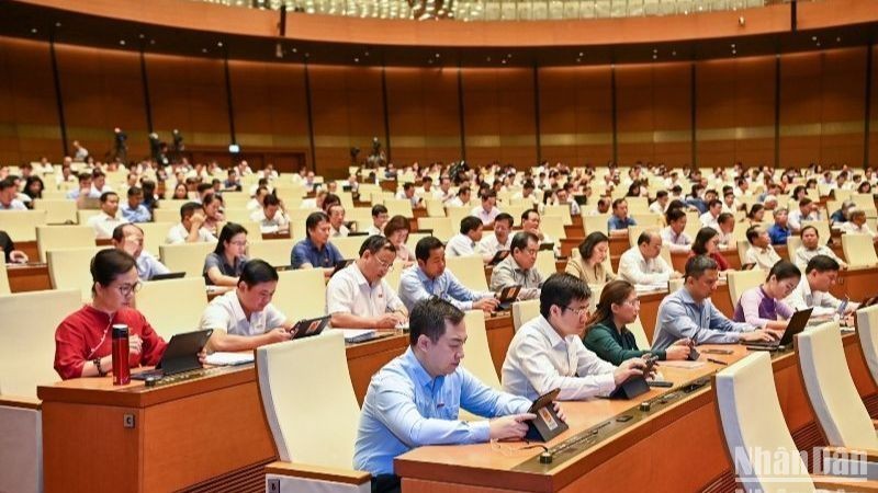 Депутаты НС на заседании 5 июня. Фото: Зюи Линь 