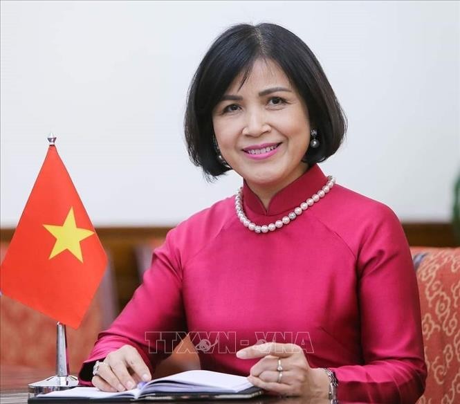 Посол Ле Тхи Тует Май, глава постоянной миссии Вьетнама при ООН, ВТО и других международных организациях в Женеве. Фото: ВИА