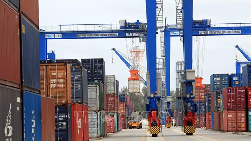 Погрузка и разгрузка товаров в морском порту Хайфон. Фото: ВИА