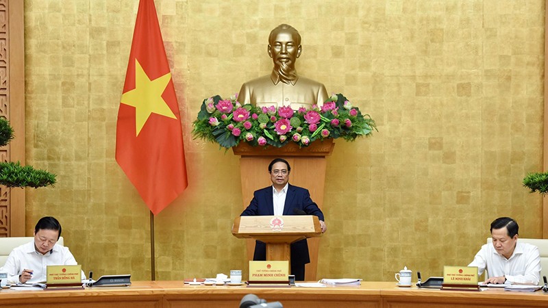 Премьер-министр Фам Минь Тьинь выступает на заседании.