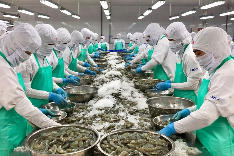 Ожидается, что экспорт морепродуктов будет расти в 2023 году.