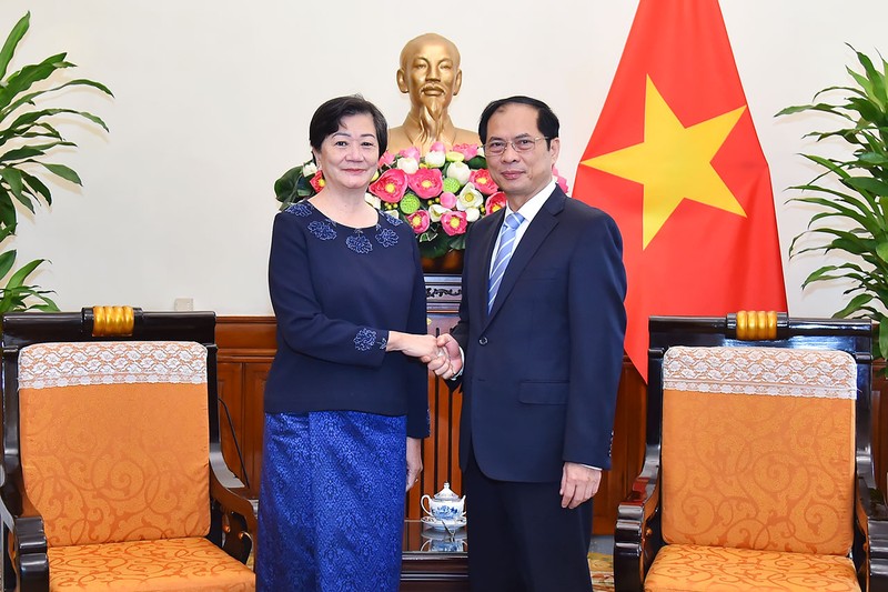 Министр иностранных дел Буй Тхань Шон и Посол Камбоджи во Вьетнаме Чеа Кимтха. Фото: МИД Вьетнама 