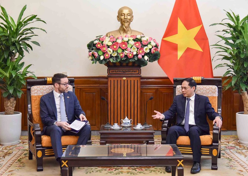 Министр иностранных дел Буй Тхань Шон и Посол Великобритании во Вьетнаме Иэн Фрю. Фото: МИД Вьетнама