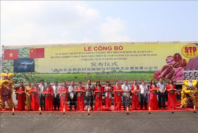 Церемония объявления экспорта первой партии батата в Китай. Фото: ВИА