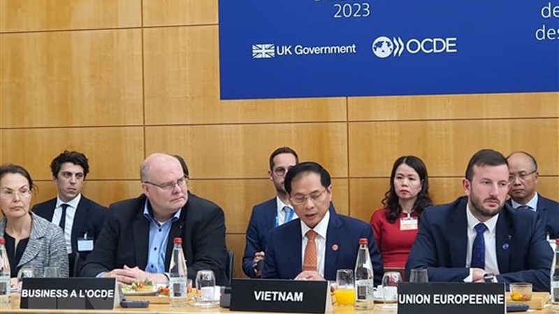Министр иностранных дел Вьетнама Буй Тхань Шон выступает на дискуссии. Фото: ВИА