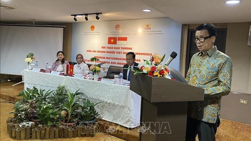 Посол Вьетнама в Индонезии Та Ван Тхонг выступает на семинаре. Фото: ВИА