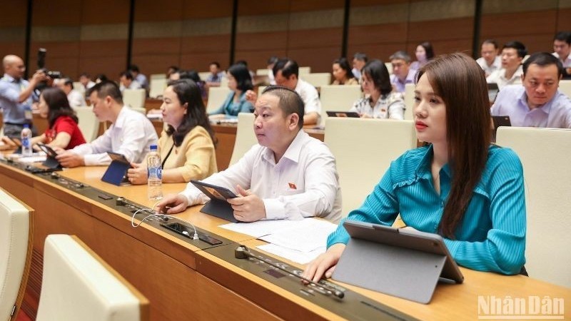 Депутаты НС на заседании 22 июня. Фото: Зюи Линь