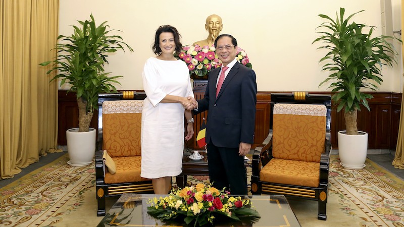 Министр иностранных дел Буй Тхань Шон и Председатель Сената Бельгии Стефани Д'Оз. Фото: МИД Вьетнама