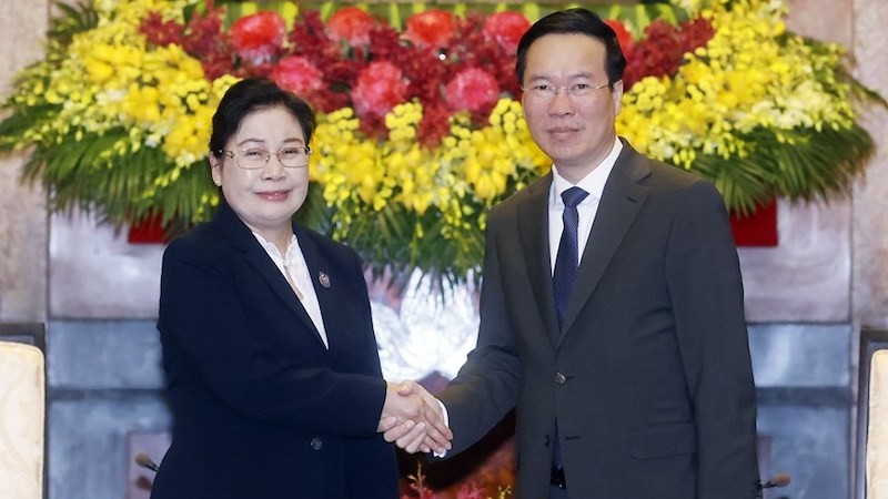 Президент Во Ван Тхыонг и Председатель Верховного народного суда Лаоса Виенгтхонг Сипхандон. Фото: ВИА