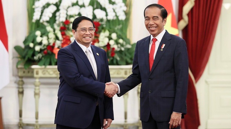 Премьер-министр Фам Минь Тьинь и Президент Индонезии Джоко Видодо. Фото: VGP