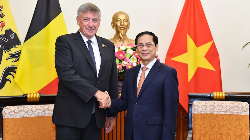 Министр иностранных дел Буй Тхань Шон и Министр-президент Фландрии Ян Джамбон. Фото: МИД Вьетнама