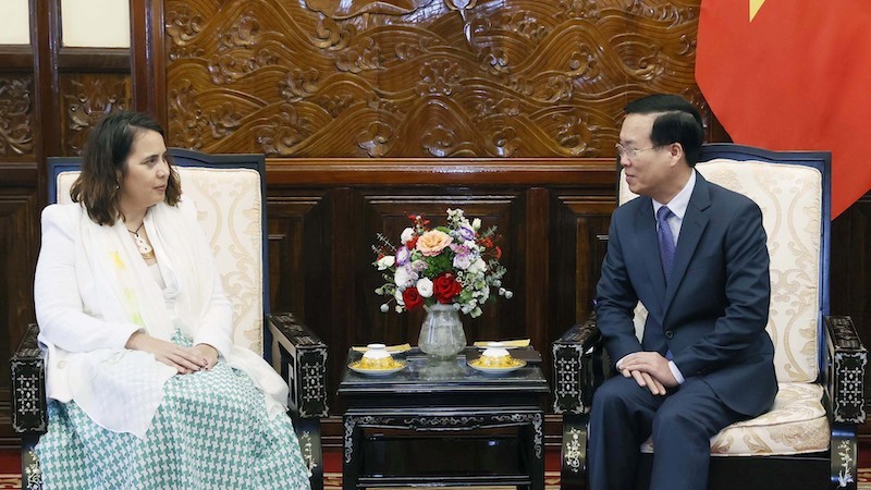 Президент Во Ван Тхыонг и Посол Новой Зеландии Треден Добсон. Фото: ВИА