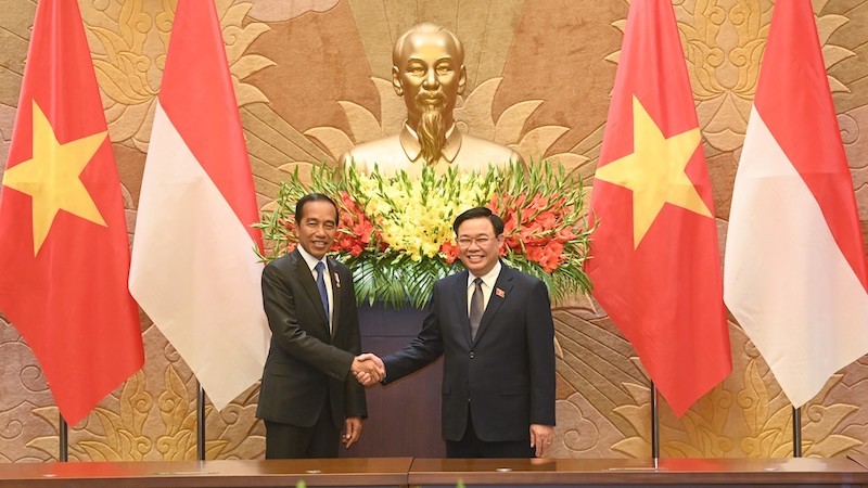 Председатель НС Выонг Динь Хюэ и Президент Индонезии Джоко Видодо. Фото: Зюи Линь