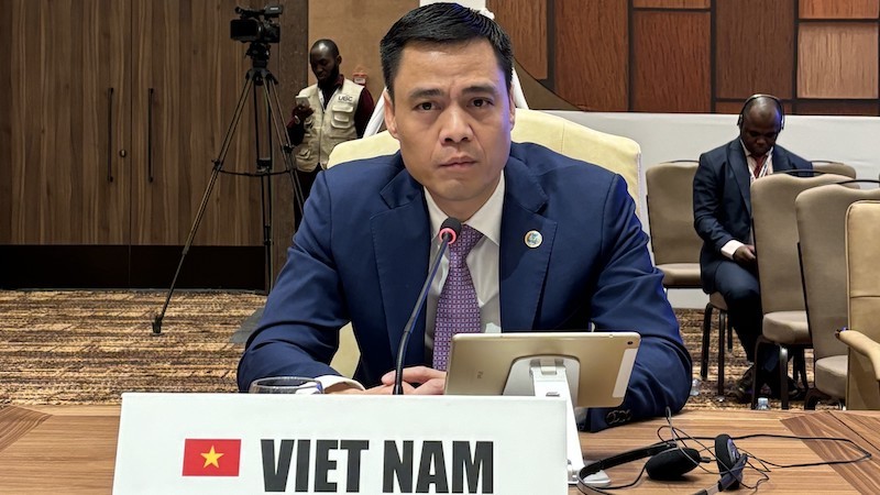 Посол Данг Хоанг Жанг, глава постоянной миссии Вьетнама при ООН. Фото: ВИА