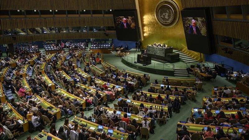 Одно заседание ГА ООН. Фото: AFP/ВИА