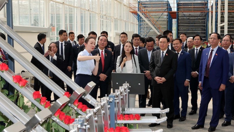 Председатель НС Вьетнама Выонг Динь Хюэ и делегация посещают Сервисный инновационный центр зеленого сельского хозяйства Юньтяньхуа. Фото: ВИА