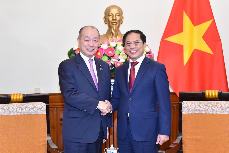Министр иностранных дел Вьетнама Буй Тхань Шон (справа) и Замминистра иностранных дел Японии Такаги Кей. Фото: МИД Вьетнама 