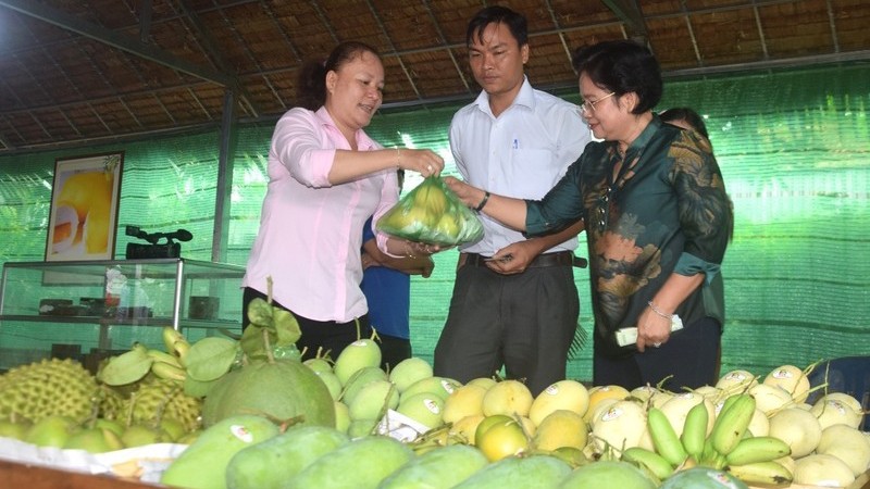 Вьетнам является 12-м по величине поставщиком манго и продуктов из манго в США за первые пять месяцев 2023 г.