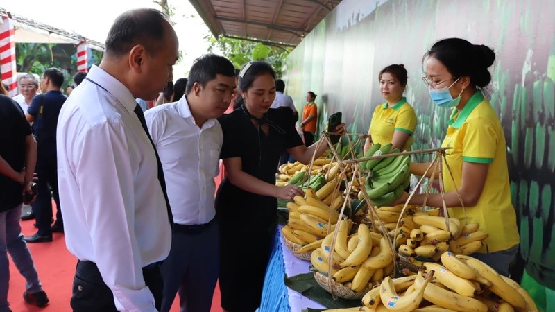 Многие системы потребления в Японии хотят импортировать бананы из Вьетнама.