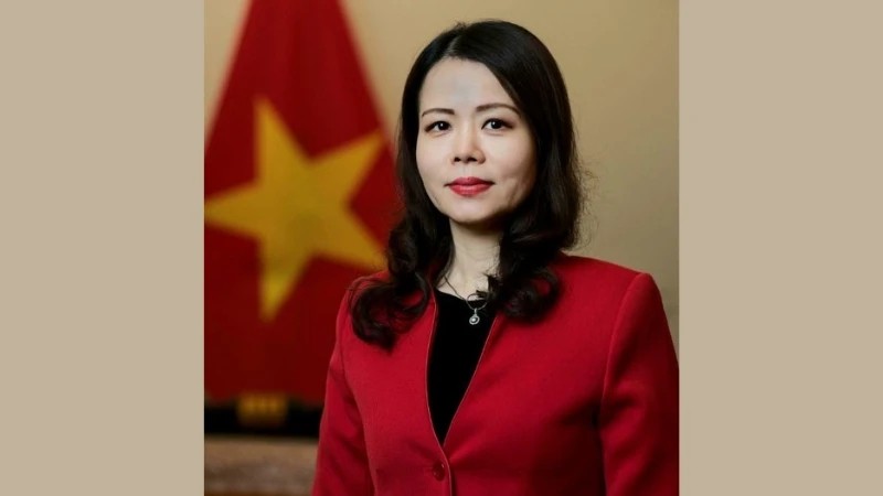 Заместитель министра иностранных дел Вьетнама Нгуен Минь Ханг. 