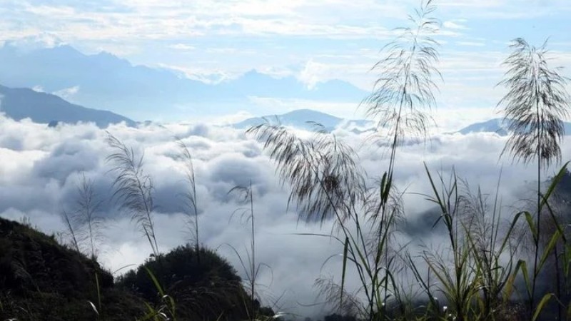 Стоя на вершине Лаотифунг, посетители могут полюбоваться величественной красотой гор и лесов Северо-Запада.