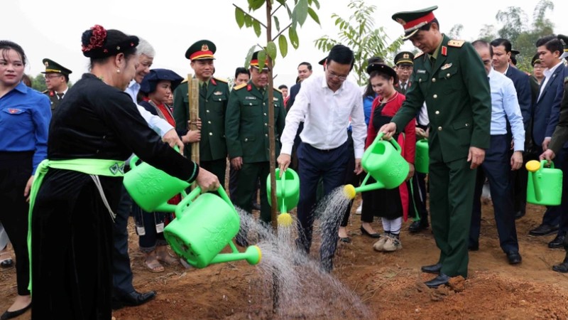 Президент Во Ван Тхыонг и делегаты принимают участие в посадке деревьев. 