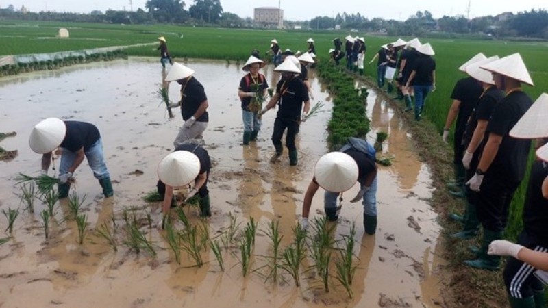 Иностранные туристы знакомятся с фермерской работой. Фото: ВИA