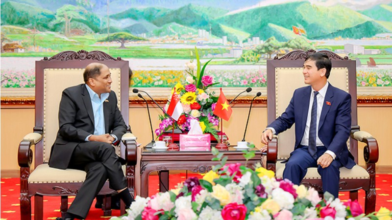Секретарь парткома провинции Виньфук Зыонг Ван Ан (справа) и Посол Сингапура во Вьетнаме Джая Ратнам. Фото: baovinhphuc.com.vn